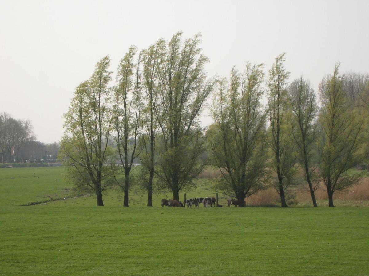 Quaint Farmhouse Near River In Oosterwijk ليردام المظهر الخارجي الصورة